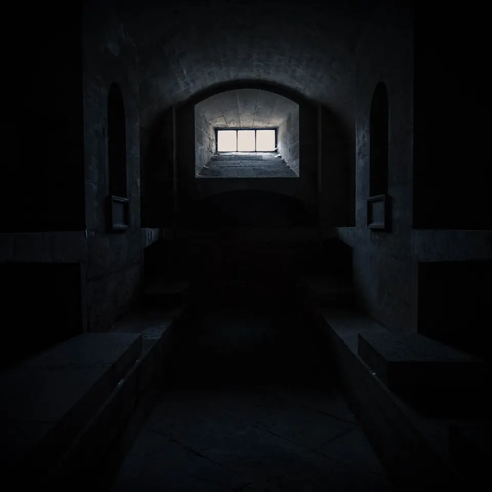 Artwork for Dust to Dust