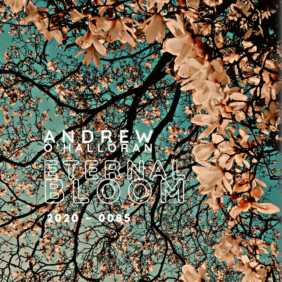 Artwork for Eternal Bloom