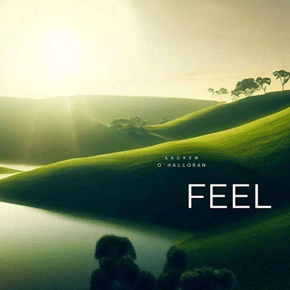 Artwork for Feel