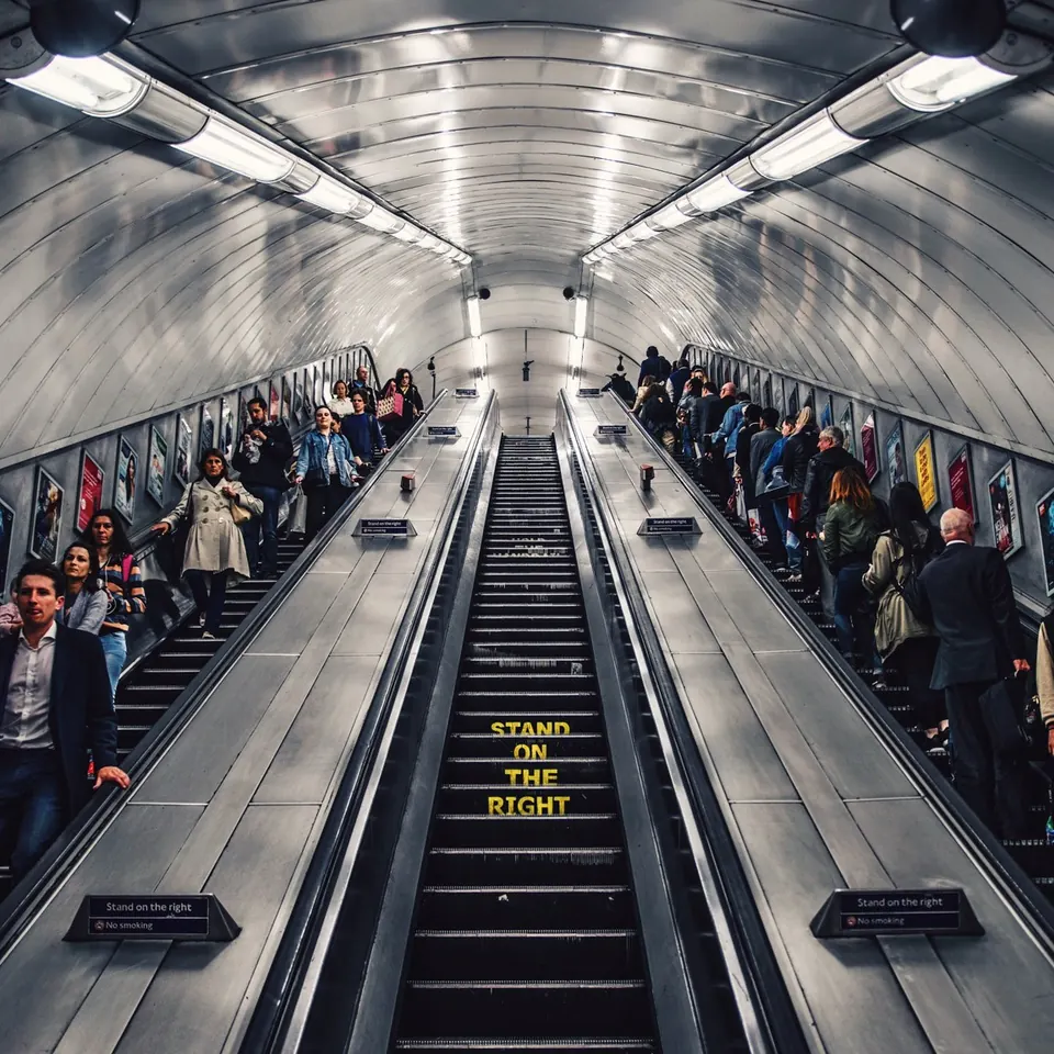 Artwork for The Madness of Crowds